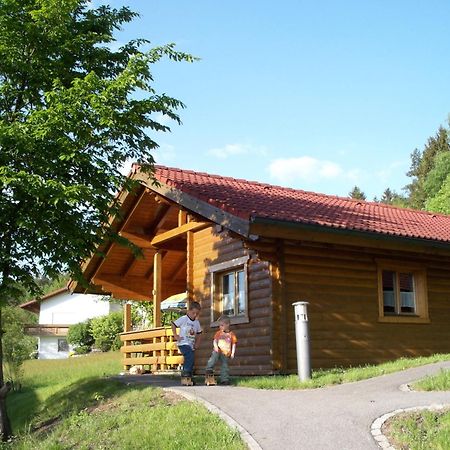 Villa Blockhaus Hedwig Stamsried Esterno foto
