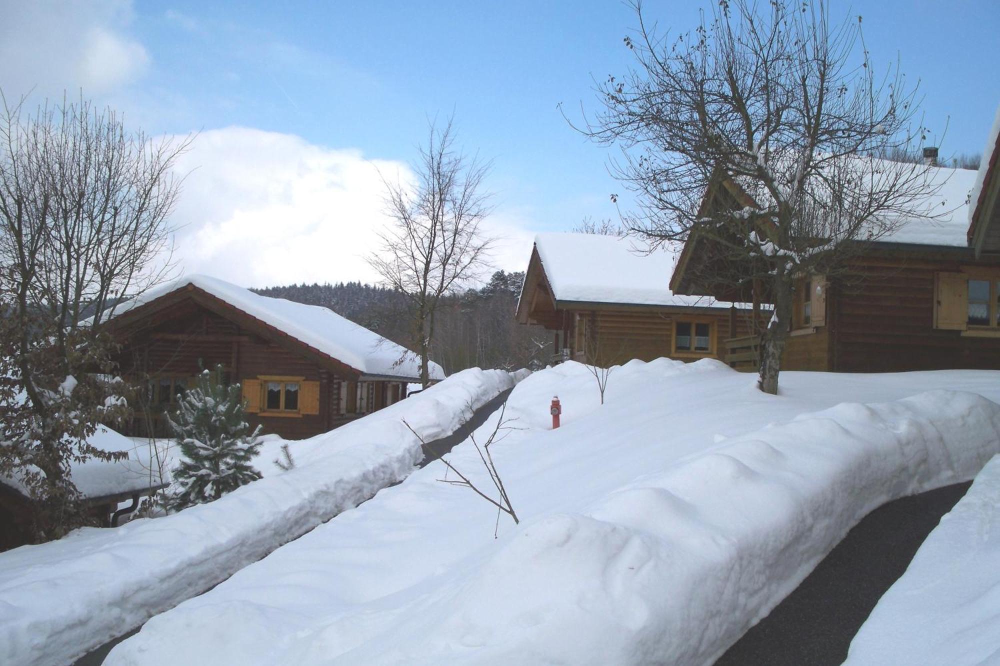 Villa Blockhaus Hedwig Stamsried Esterno foto