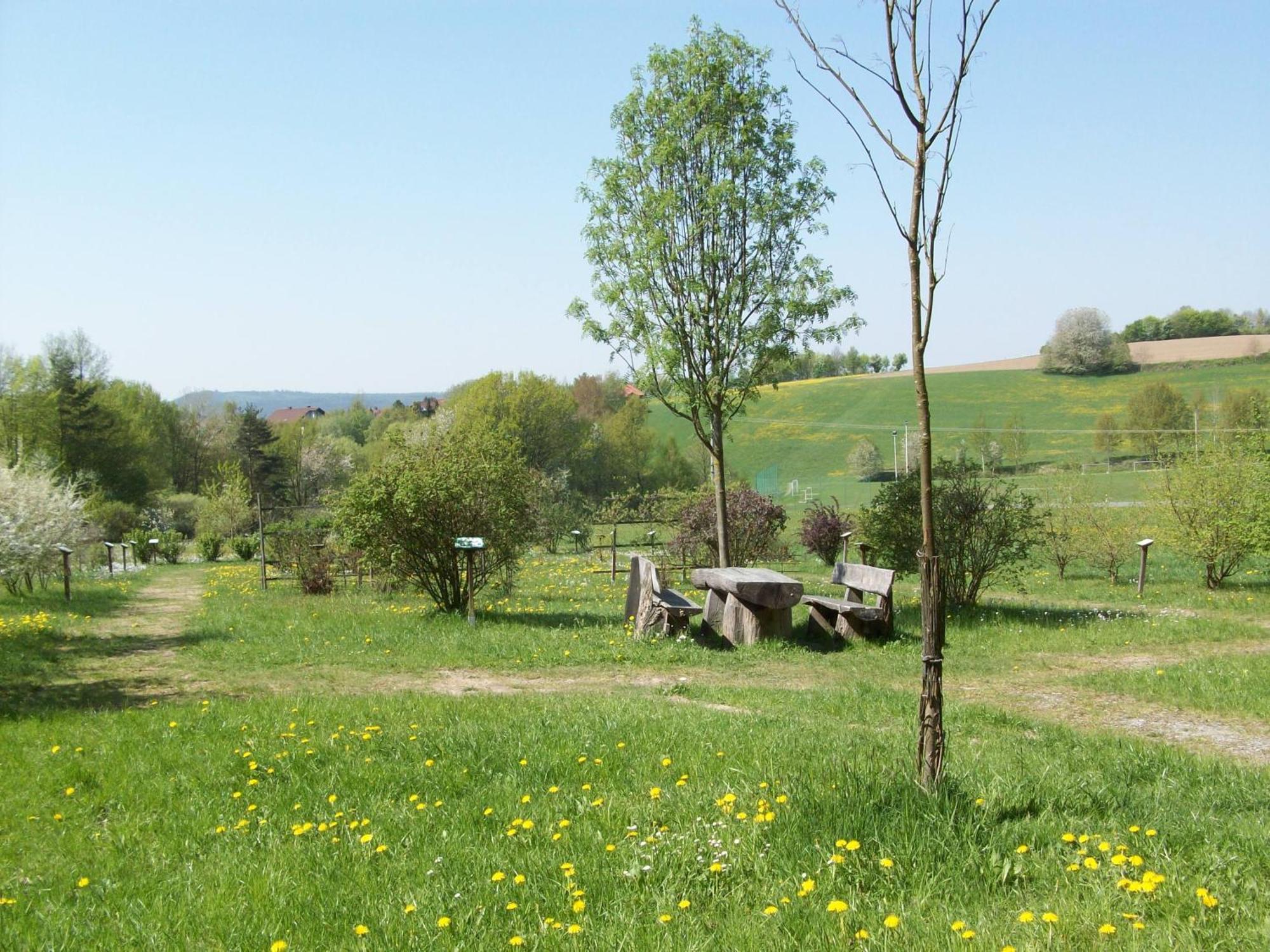 Villa Blockhaus Hedwig Stamsried Esterno foto