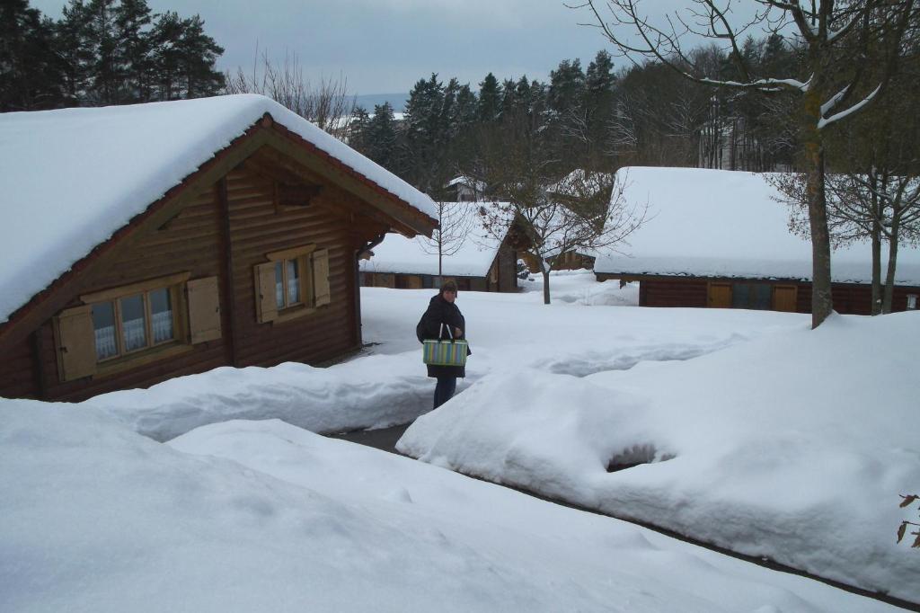 Villa Blockhaus Hedwig Stamsried Esterno foto