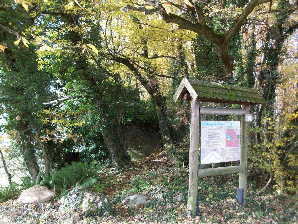 Villa Blockhaus Hedwig Stamsried Esterno foto