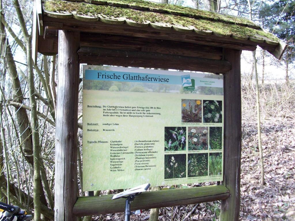 Villa Blockhaus Hedwig Stamsried Esterno foto