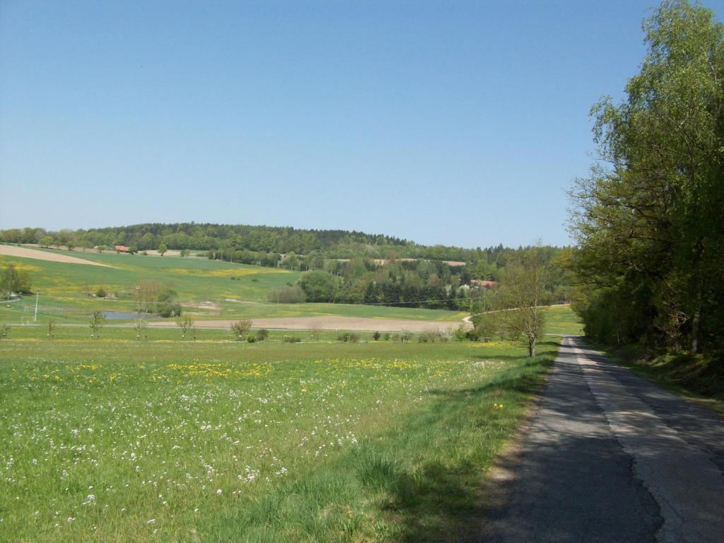 Villa Blockhaus Hedwig Stamsried Esterno foto