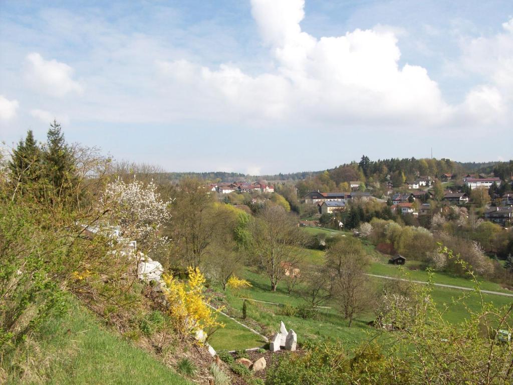 Villa Blockhaus Hedwig Stamsried Esterno foto