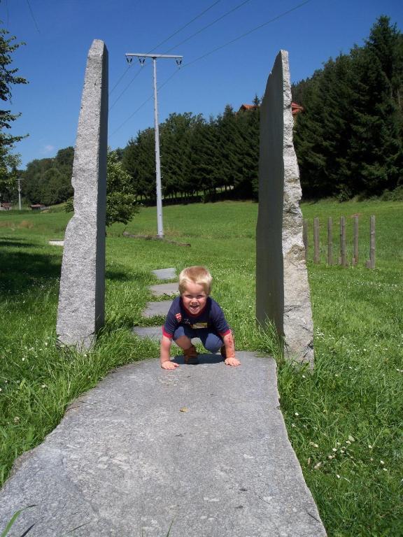 Villa Blockhaus Hedwig Stamsried Esterno foto
