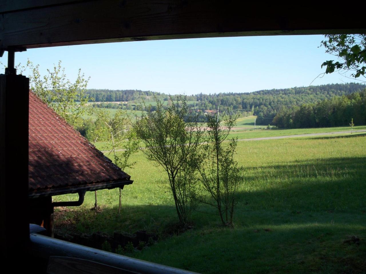 Villa Blockhaus Hedwig Stamsried Esterno foto